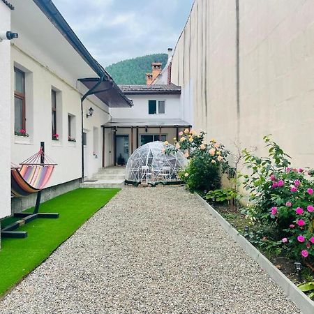 Schei Brasov-Скей Брашов Apartment Ngoại thất bức ảnh