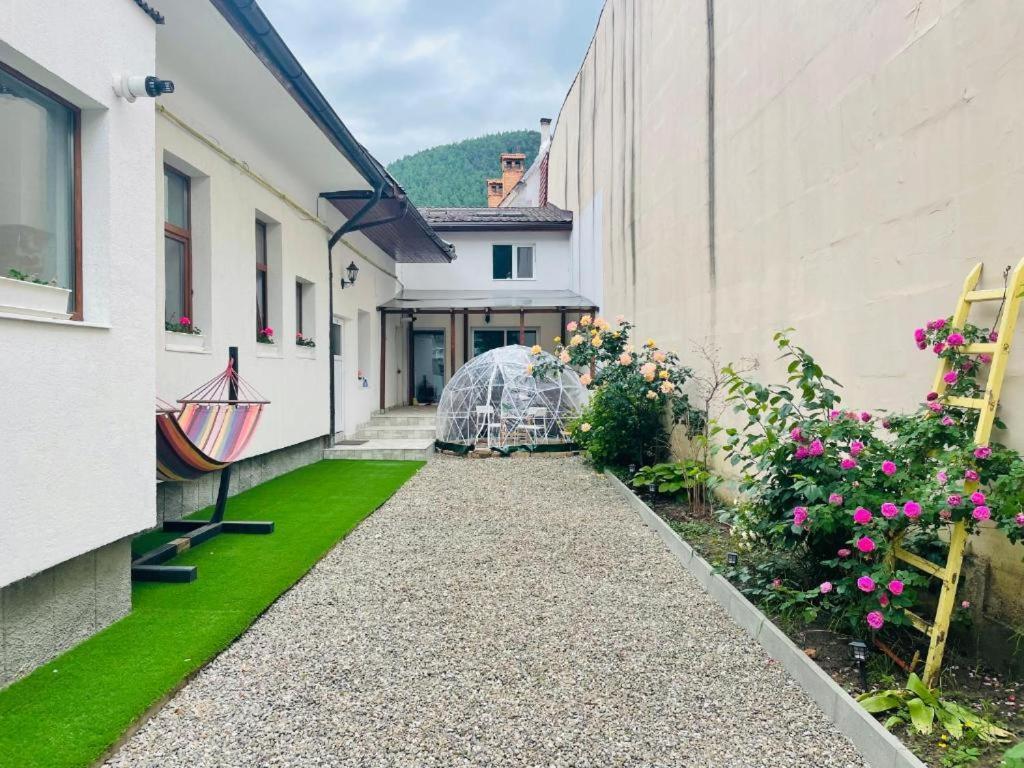 Schei Brasov-Скей Брашов Apartment Ngoại thất bức ảnh